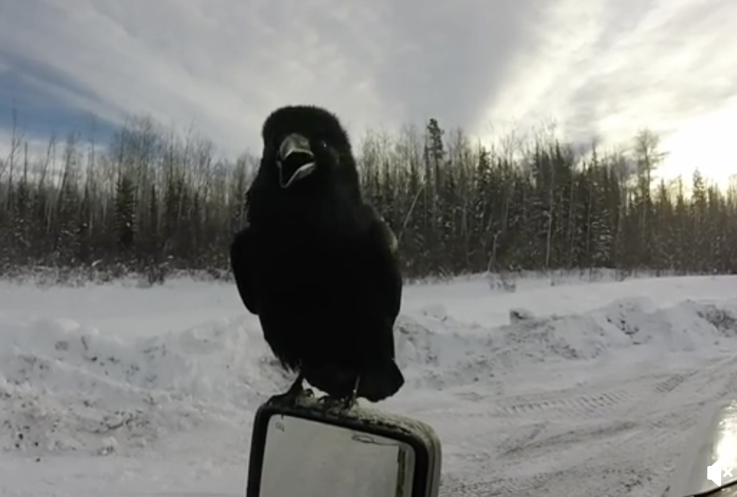 The silence that follows is even louder.